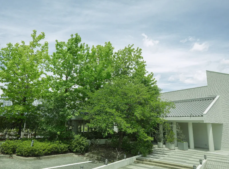 大阪・服部緑地 sasa